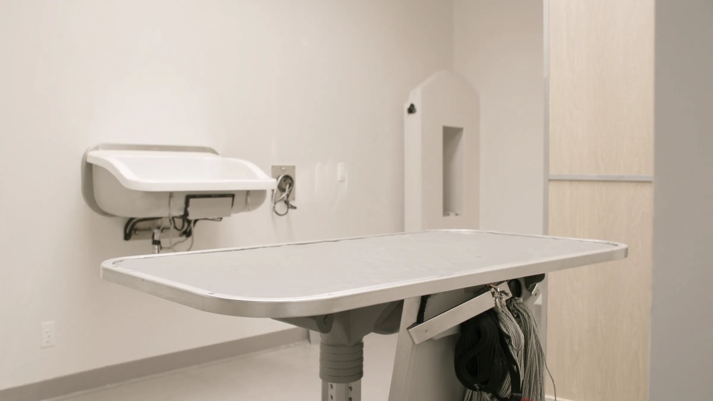 Pet services marketing, pet grooming studio, grooming table and wall-mounted tub