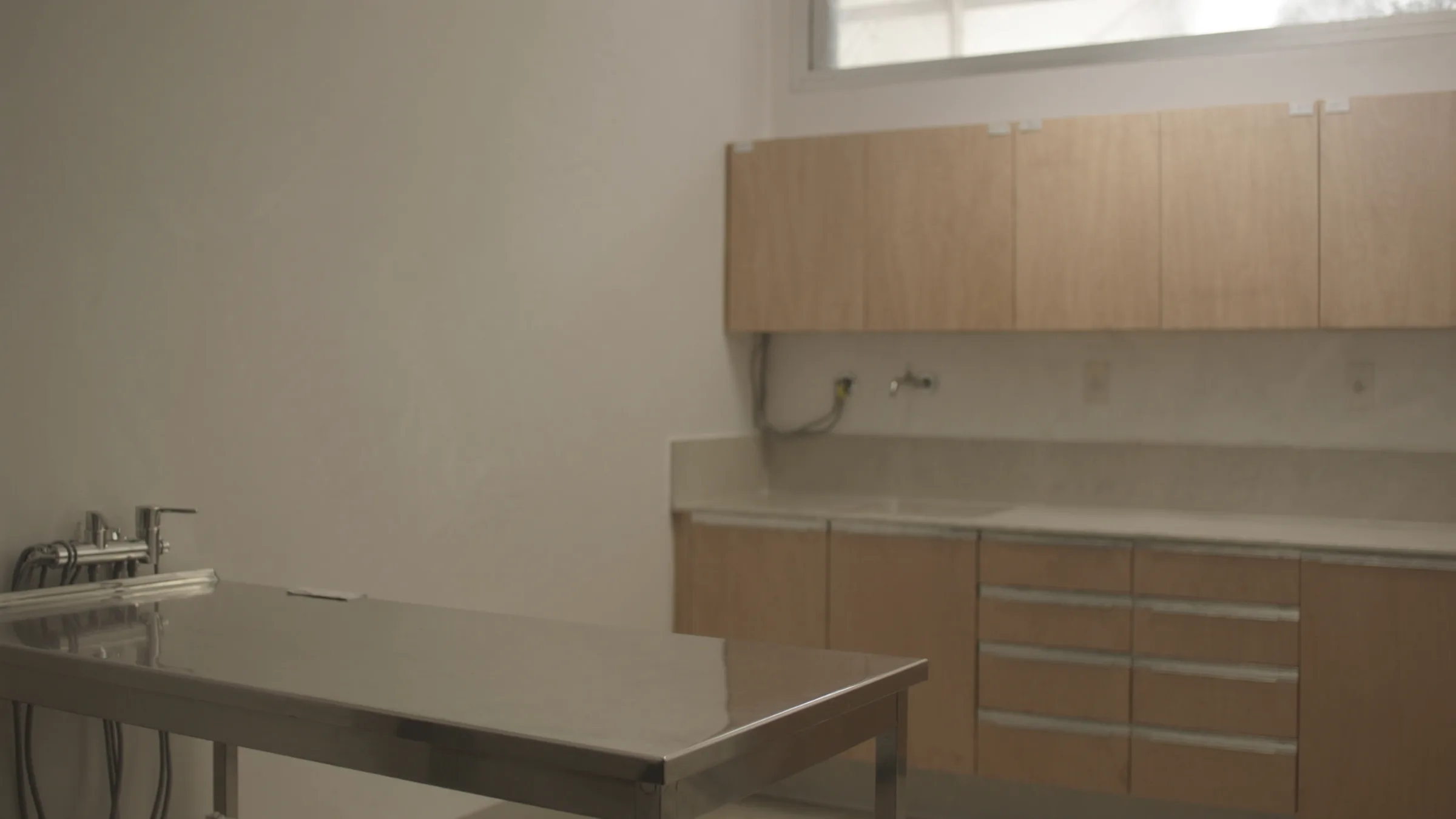 Veterinary marketing, veterinary clinic, clean stainless steel exam room