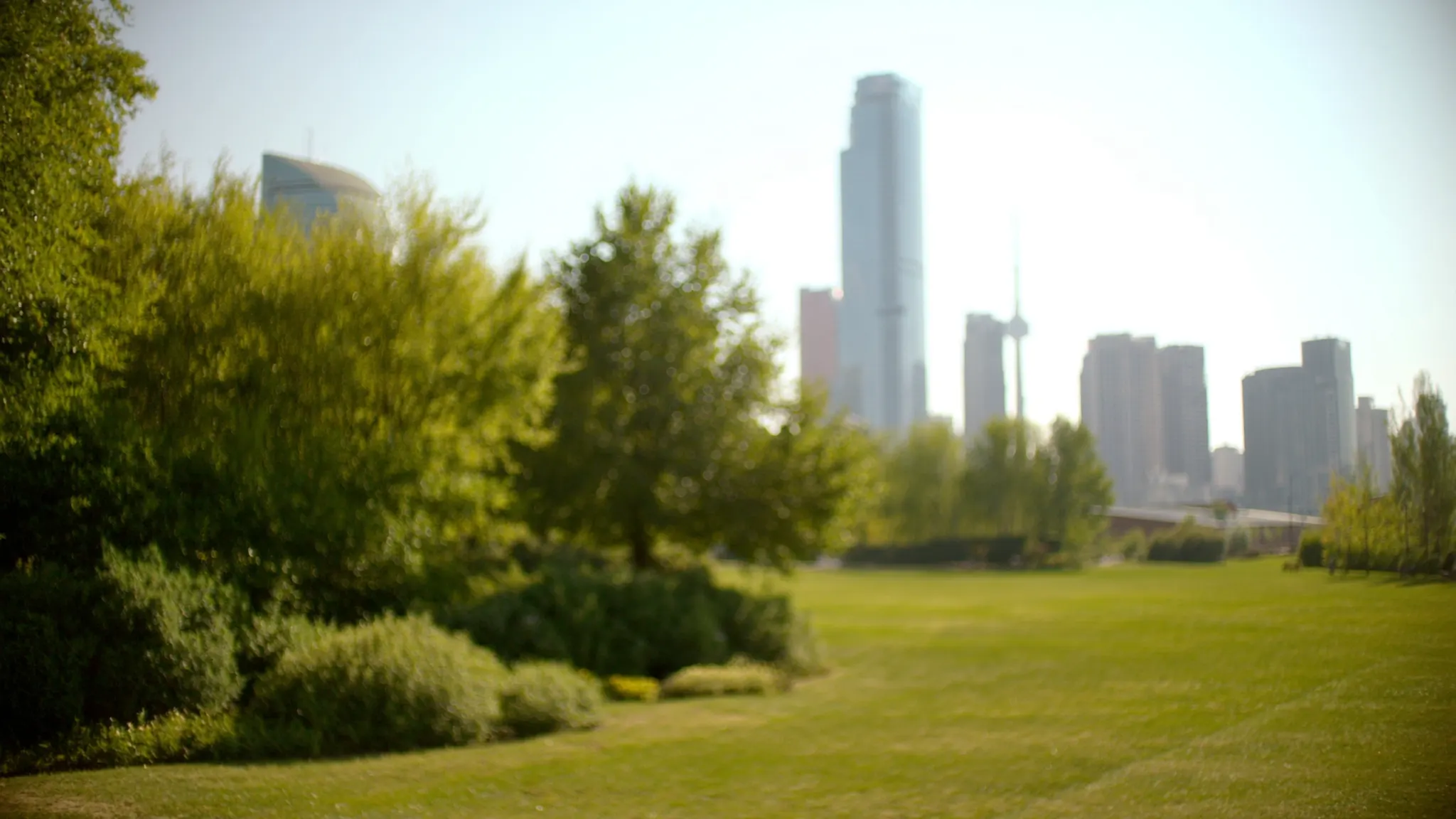 Toronto, marketing agency, quiet park lawn with the downtown skyline softly blurred behind